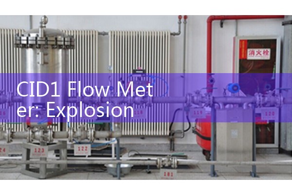 CID1 Flow Meter: Explosion-Proof Class 1 Division 1 Hazardous Line Controls